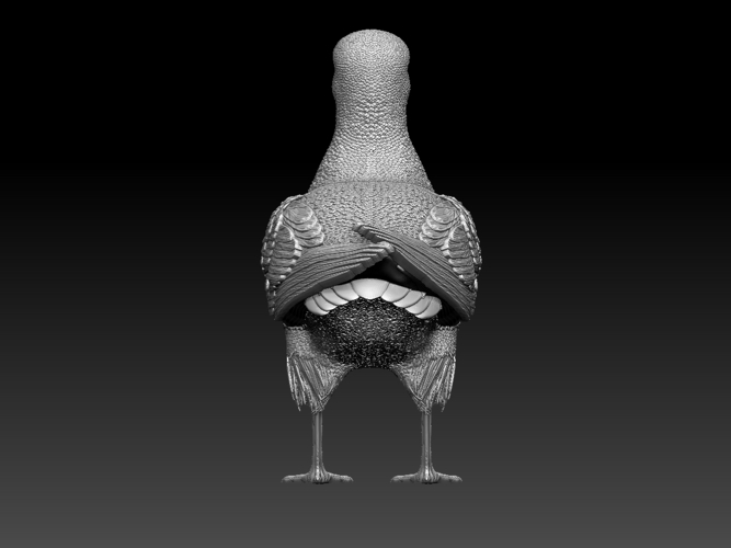 seagull 3D Print 510145