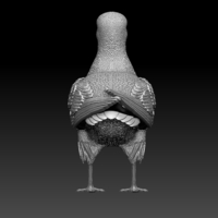 seagull - Thumbnail 3