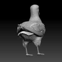 seagull - Thumbnail 4