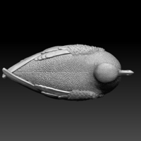 seagull - Thumbnail 5