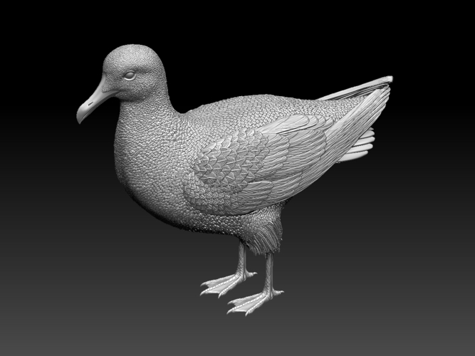 seagull 3D Print 510149