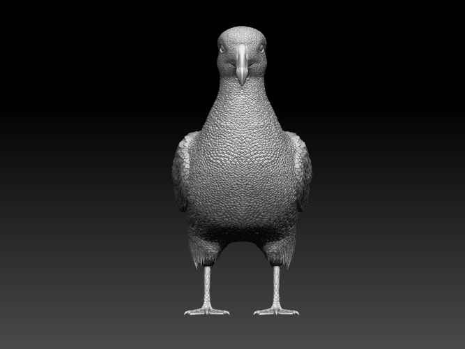 seagull 3D Print 510150