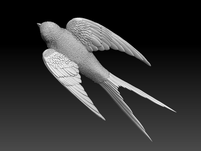 swallow 3D Print 510152