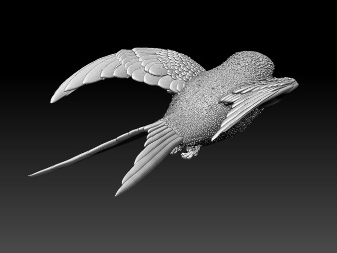 swallow 3D Print 510153