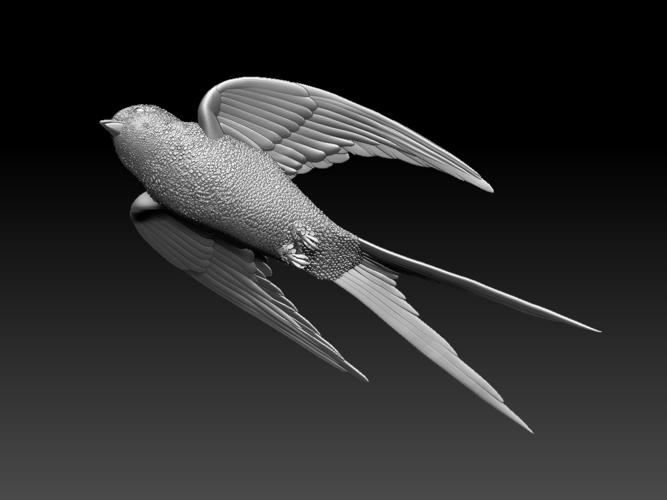 swallow 3D Print 510154