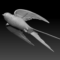 swallow - Thumbnail 3