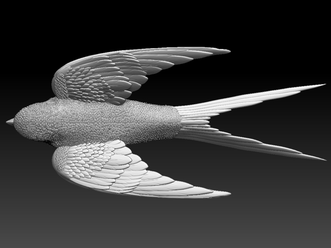 swallow 3D Print 510155