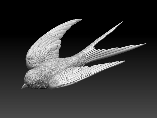 swallow 3D Print 510157