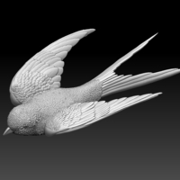 Small swallow 3D Printing 510157