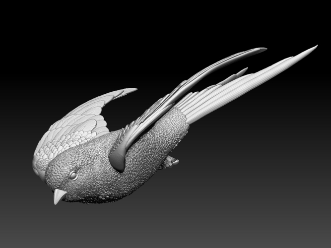 swallow 3D Print 510158