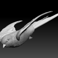 swallow - Thumbnail 7