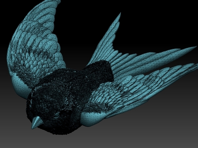 swallow 3D Print 510159