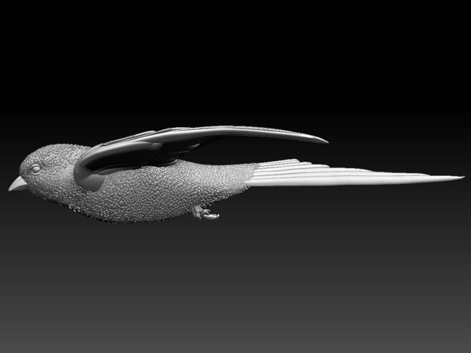 swallow 3D Print 510160