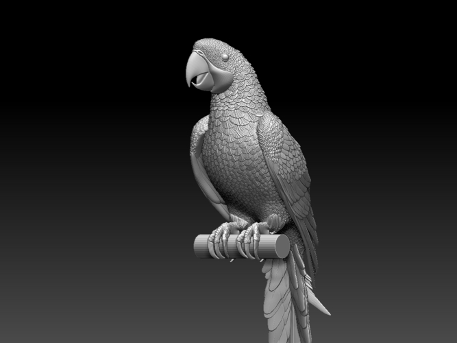 parrot 3D Print 510161