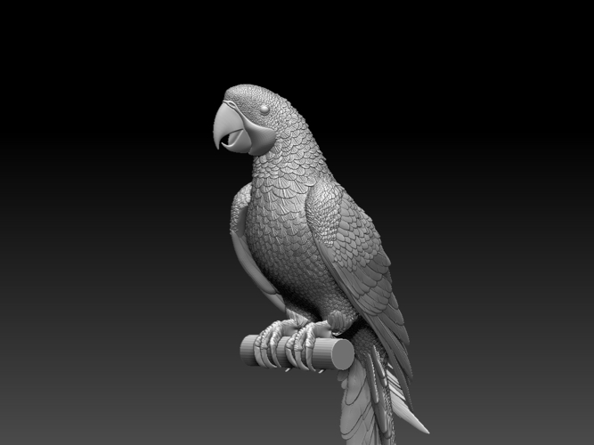 parrot 3D Print 510162