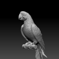 parrot - Thumbnail 2