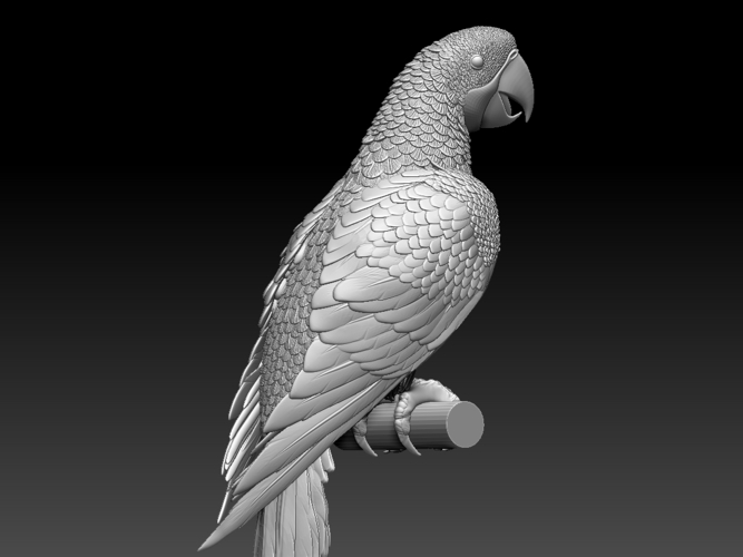 parrot 3D Print 510163