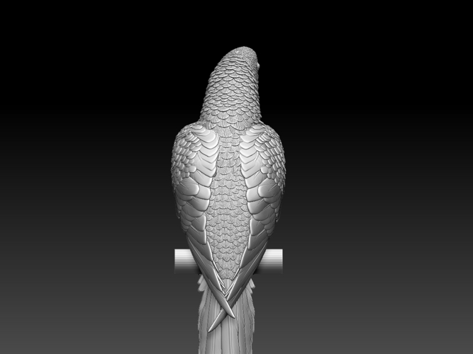 parrot 3D Print 510164