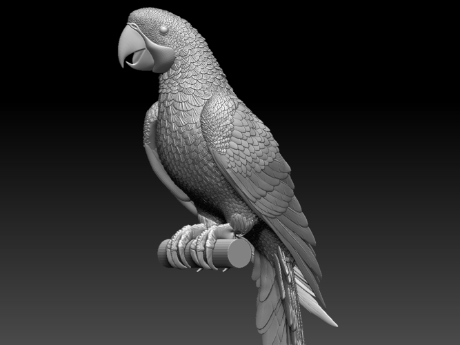 parrot 3D Print 510165