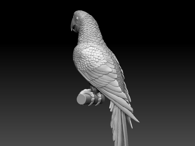 parrot 3D Print 510167