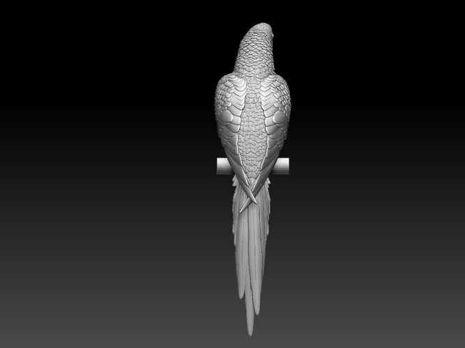 parrot 3D Print 510169