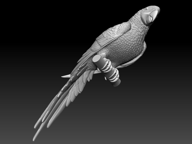 parrot 3D Print 510170