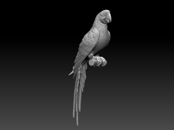 parrot 3D Print 510171