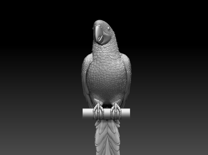 parrot 3D Print 510172