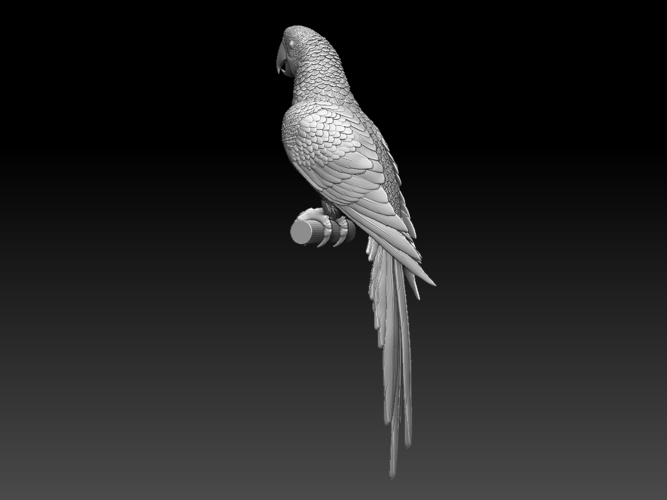 parrot 3D Print 510173