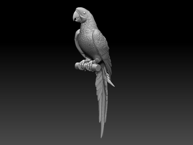 parrot 3D Print 510174