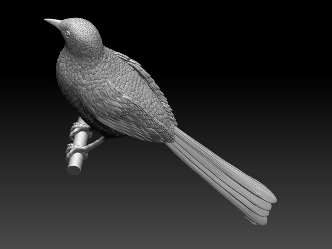 magpie 3D Print 510175