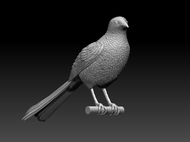 magpie 3D Print 510177