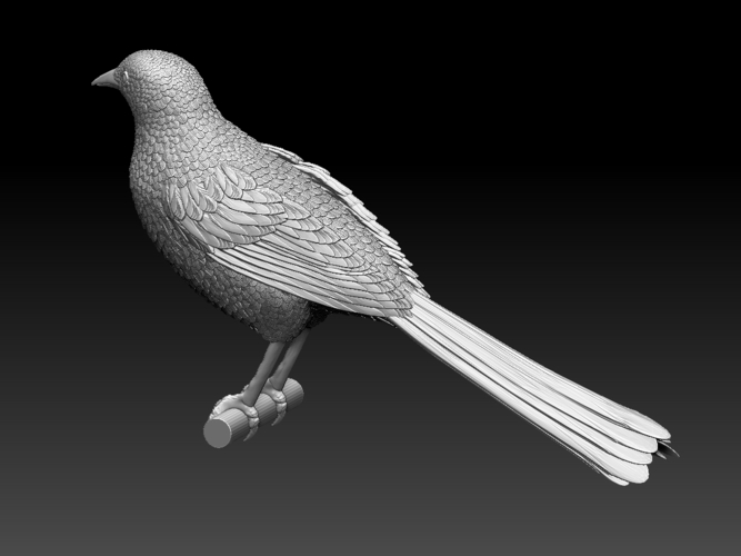 magpie 3D Print 510178