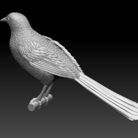 magpie - Thumbnail 4