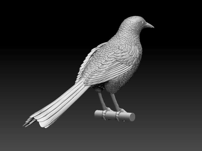 magpie 3D Print 510179