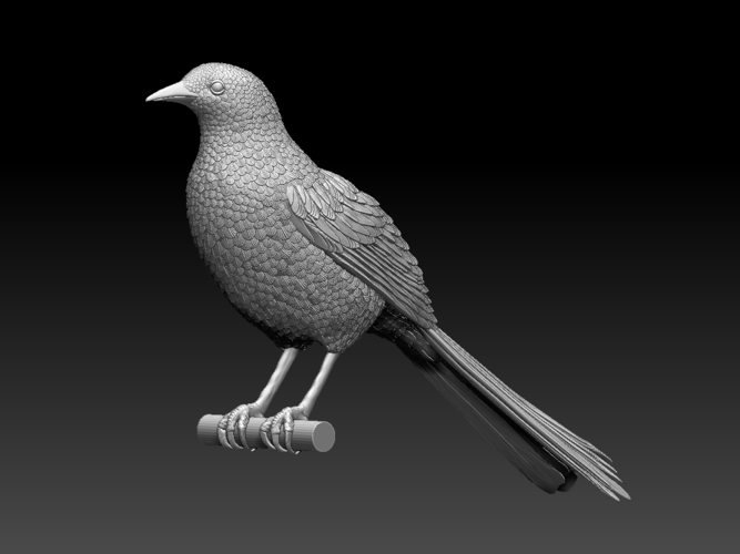 magpie 3D Print 510180