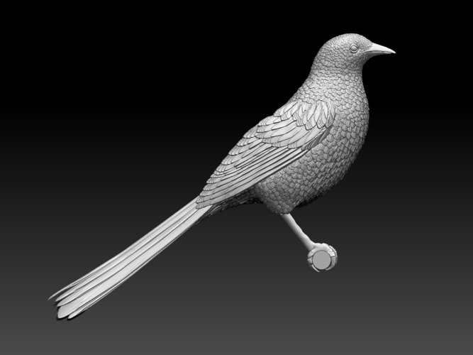 magpie 3D Print 510183