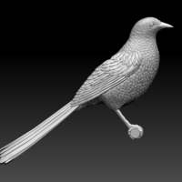 Small magpie 3D Printing 510183