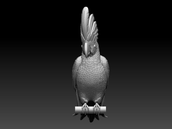 parrot 3D Print 510184