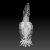 parrot - Thumbnail 2