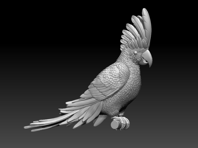 parrot 3D Print 510186