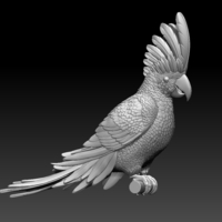 Small parrot 3D Printing 510186