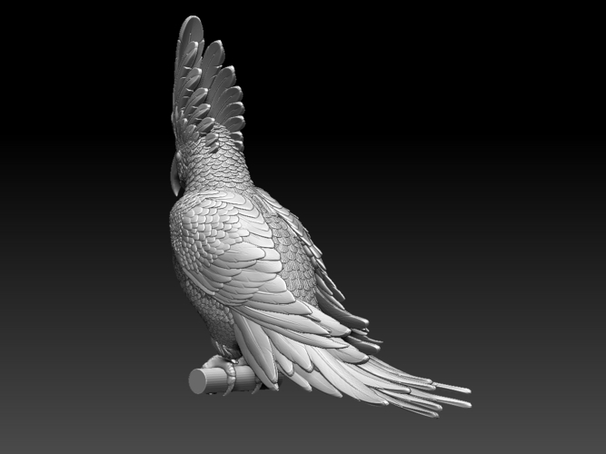 parrot 3D Print 510187