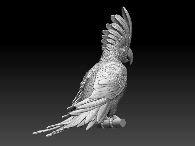 parrot 3D Print 510188