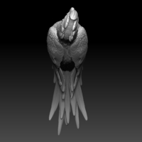parrot - Thumbnail 6