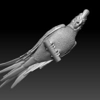 parrot - Thumbnail 7