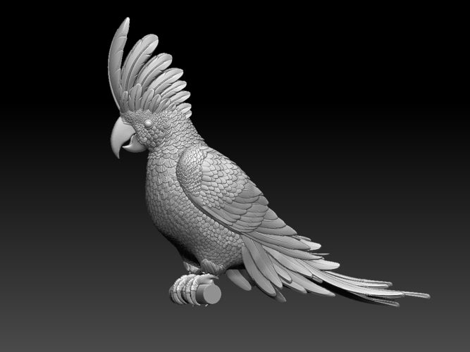 parrot 3D Print 510191