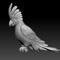 parrot - Thumbnail 8