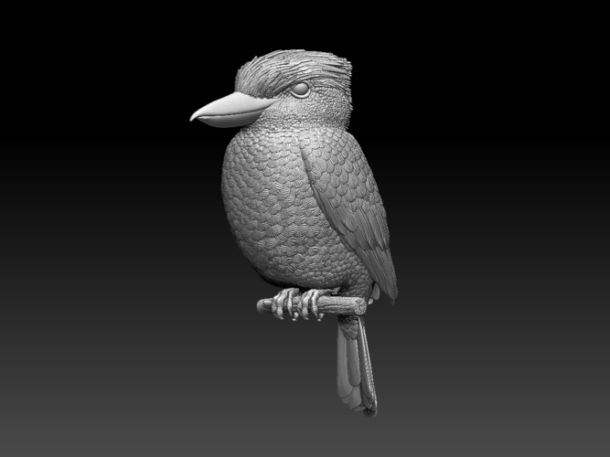 Blue Winged Kookaburra 3D Print 510192