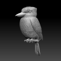 Small Blue Winged Kookaburra 3D Printing 510192